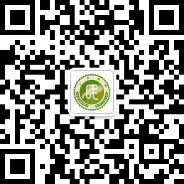 技術支持